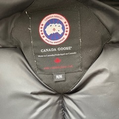 カナダグースダウン