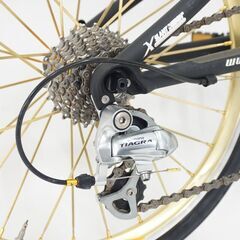 TYRELL「タイレル」 SV 2011年モデル ミニベロ