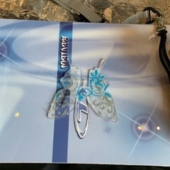 スノーボード・新品ケース付【前の部分に小さい欠け有その他美品】裏縁は欠けなし2月中お得！！