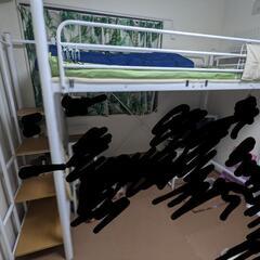 (予定者有り)ロフトベッド