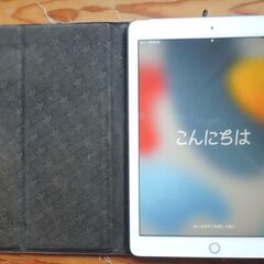 美品 Apple iPad Air2 Wi-Fi+Cellula...