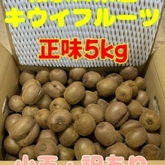 ☆和歌山県産キウイフルーツ小玉〜5kg【訳あり•未完熟】☆