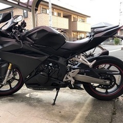 CBR250rr