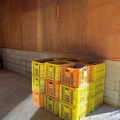 薪　針葉樹MIX  1㎥