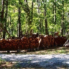 薪　針葉樹MIX  1㎥