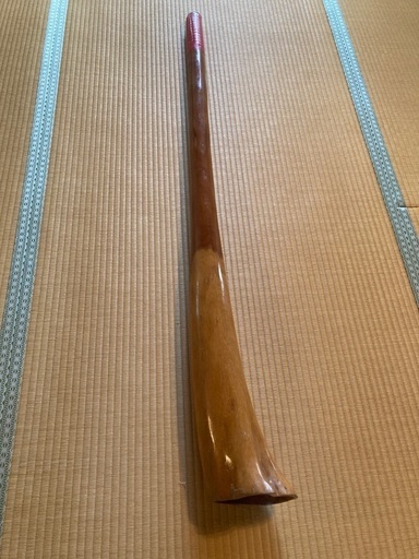 ディジュリドゥ | noonanwaste.com