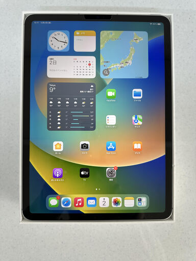 apple iPad Pro (第4世代）11インチ Wi-Fi＋Cellular 256GB シルバー