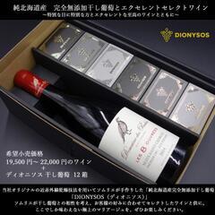 【ネット決済・配送可】珍しいワインセット
