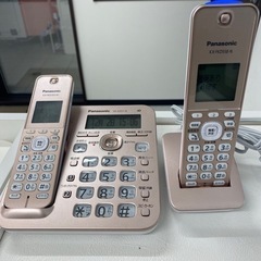 コードレス電話機（子機付き）パナソニック VE-GZ51-N