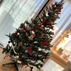 クリスマスツリー（大）170cmくらい
