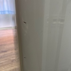 Electronic Washing Machine 洗濯機 6kg