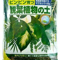 売約済み！B338【定価814円⇒400円】花ごころ 観葉植物の...