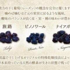 ふるなびふるさと納税