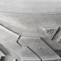 BFｸﾞｯﾄﾞﾘｯﾁ