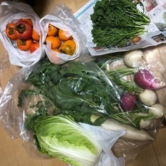 お取り引き中【早い者勝ち】お野菜セット　