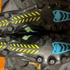 モレリアネオ3ブラック×サックス