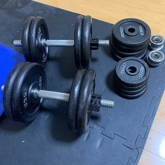 アイロテック　ダンベル30kg 2個