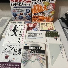 投資/経済/マクロ関連書籍 11冊セットまとめ売り（株式投資、F...