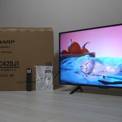 2021年製 SHARP 4K テレビ Android TV 4T-C42DJ1 シャープ AQUOS  