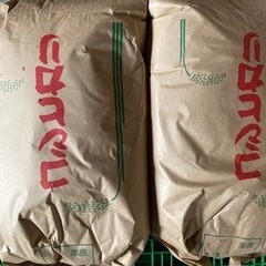 令和4年刈取　新米コシヒカリ　30kg  玄米　残り２袋