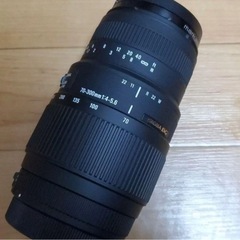 SIGMA 70-300mm 望遠レンズ