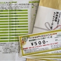 神林満喫わくわく共通クーポン券2000円分