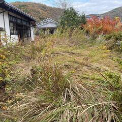 草刈り　日当15000円　草刈り機など持参いただける方