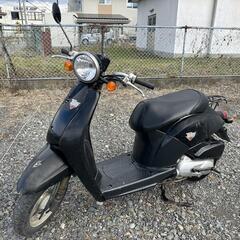 ホンダ　トゥデイ　AF61 50cc 4スト
