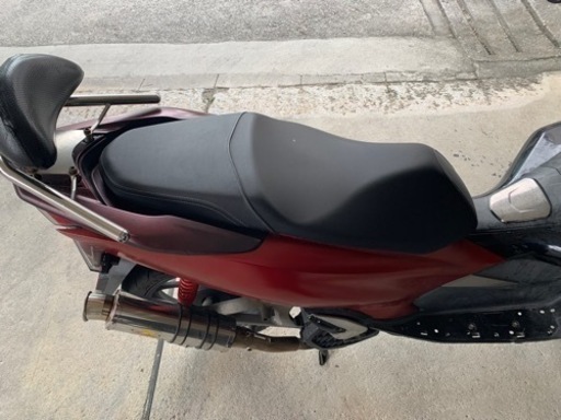 pcxjf81