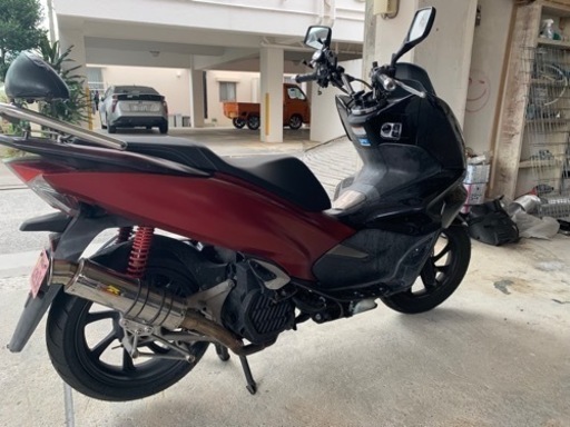 pcxjf81