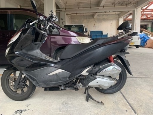 pcxjf81