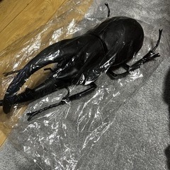 カブトムシ？　値下げ！　フィギュア