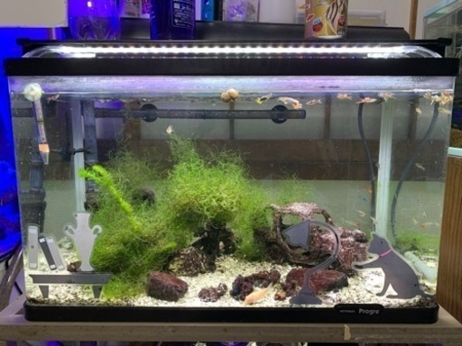 水槽フルセット! | repella.gr