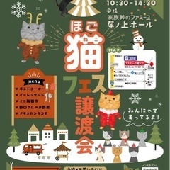 明日開催‼️子猫&成猫ちゃん　ねこフェス🐈☕️🥦
