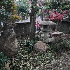 庭の石・灯篭