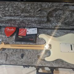 Fender American Professional