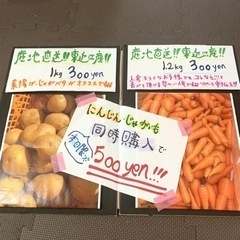 産地直送！！東近江産！！にんじん、じゃがいもセット500円！！