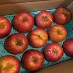 りんご 10kg x3
