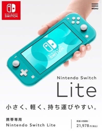 【定価3000円引き】Nintendo  Switch Lite