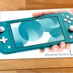 【定価3000円引き】Nintendo  Switch Lite