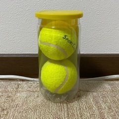 【お譲り先決定】テニスボール2個
