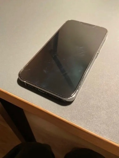 iPhone 13 Pro 512GB SIMフリーモデル シルバー institutoloscher.net