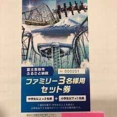 富士急ハイランド　フリーパス（ファミリー３名様用セット券）有効期...