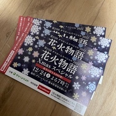 グリーンランド 入園券 第21回花火物語 クリスマス Xmas ...