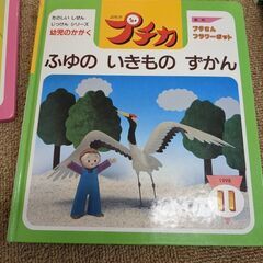 学研 幼児のかがく プチカ 1998 11月号