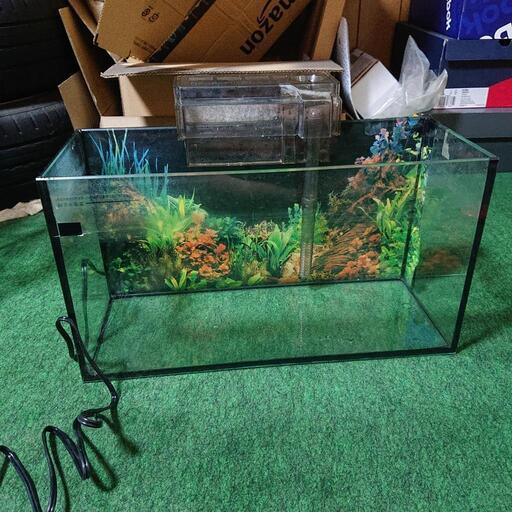 水槽 金魚 自動 餌