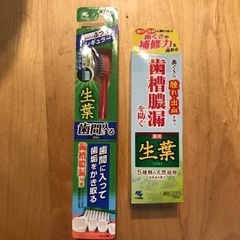生葉　薬用ハミガキ　歯ブラシ