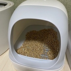猫システムトイレ