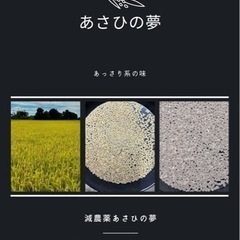 【完売致しました‼︎】令和4年産　減農薬あさひの夢　30kg  ...