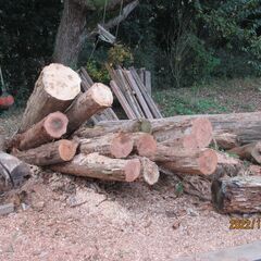 針葉樹の原木や針葉樹の解体資材、ストーブやキャンプ薪で利用される...